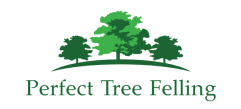 Perfect Tree Felling Logo